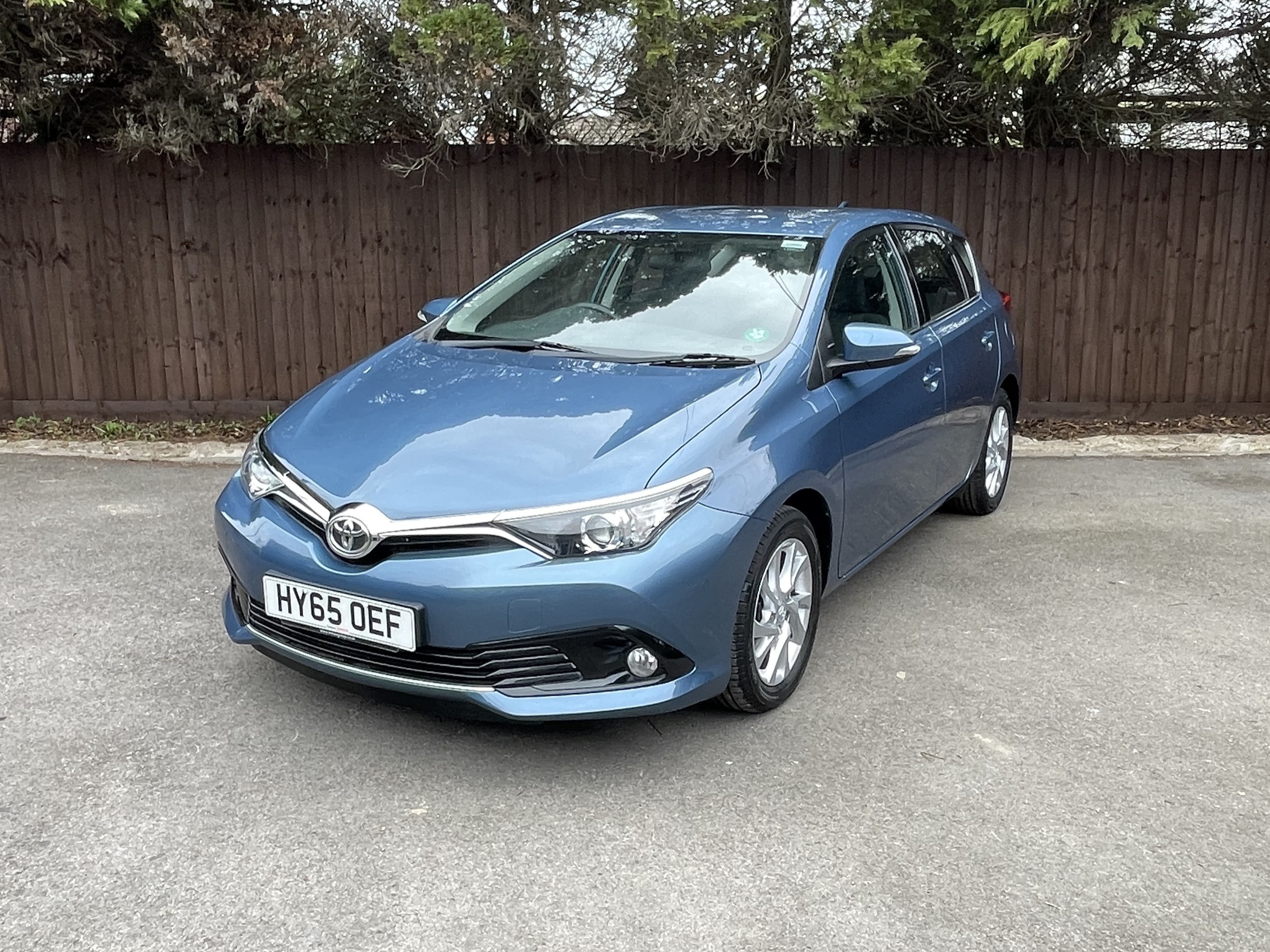 Auris